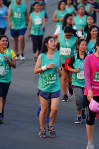 BIB: 83382, 50039, 526, 53408
                            <button type="button" onclick="openModal(10520819)" class="btn btn-primary btn-sm float-right btn-popup" data-toggle="modal" data-target=".modal-high-quality">
                        <i class="fas fa-shopping-cart"></i> Add to Cart
                    </button>
                                            <button type="button" onclick="isThisMe(10520819, true)" class="btn btn-success btn-sm float-right btn-popup btn-isme hidden" data-toggle="tooltip" data-placement="bottom" title="นี่คือรูปของคุณใช่ไหม คลิกที่นี่เพื่อเอาเข้าอัลบั้ม">
                        <i class="fas fa-plus"></i> Add to album
                    </button>
                    <button type="button" onclick="isThisMe(10520819, false)" class="btn btn-warning btn-sm float-right btn-popup btn-isnotme hidden">
                        <i class="fas fa-ban"></i> Remove from album
                    </button>